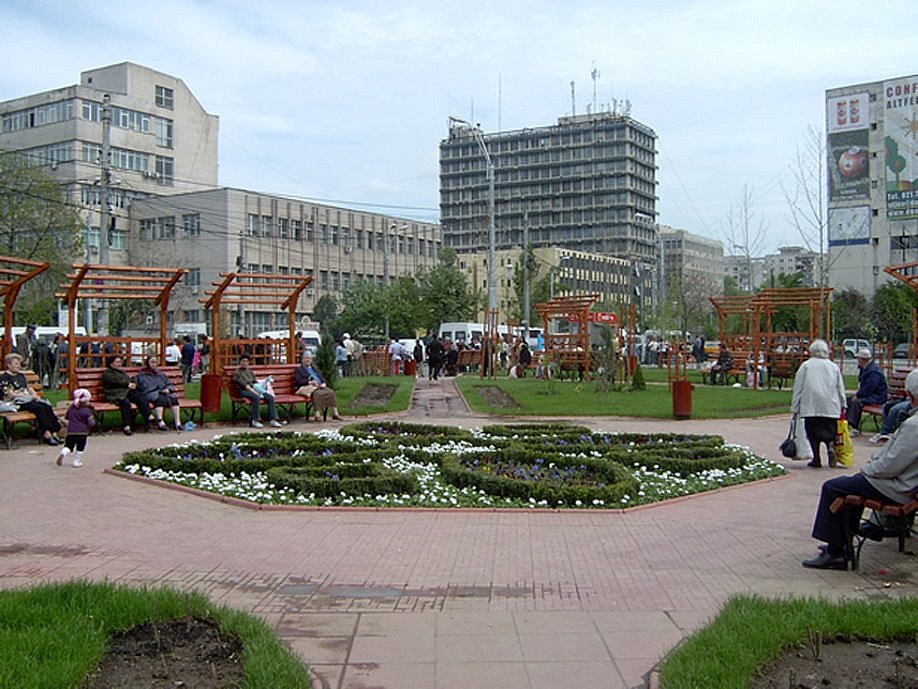 Sector